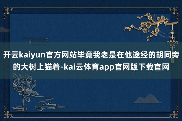 开云kaiyun官方网站毕竟我老是在他途经的胡同旁的大树上猫着-kai云体育app官网版下载官网